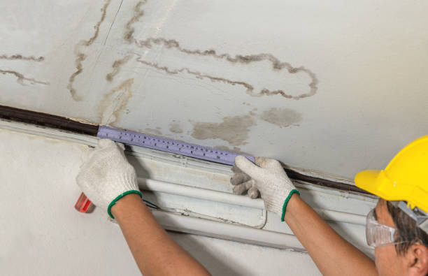 Reliable Mold Remediation contractor in Derby, KS by Water Damage Irwin
